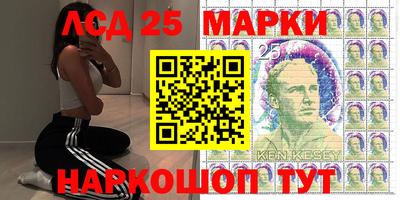 индика Можга