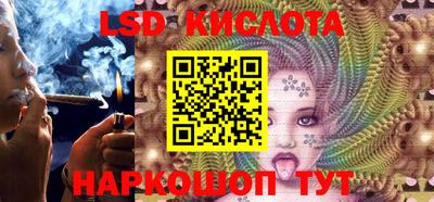 индика Можга