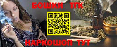 индика Можга