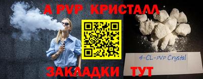 индика Можга