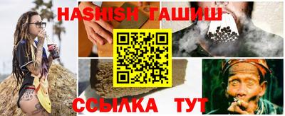 индика Можга