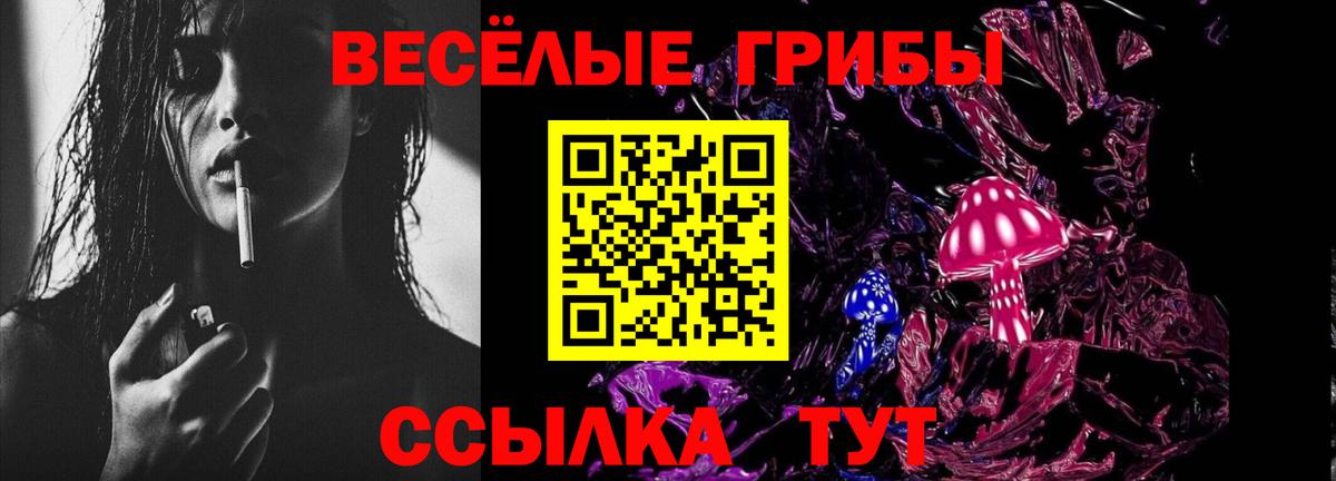 Галлюциногенные грибы прущие грибы Грозный