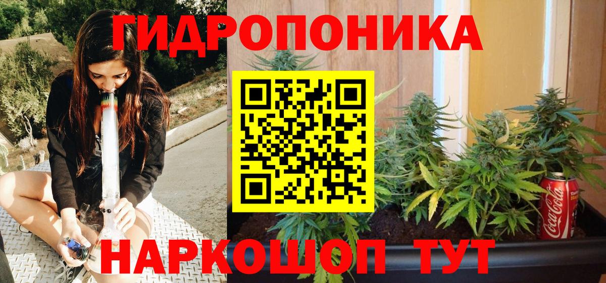 Канабис SATIVA & INDICA Грозный